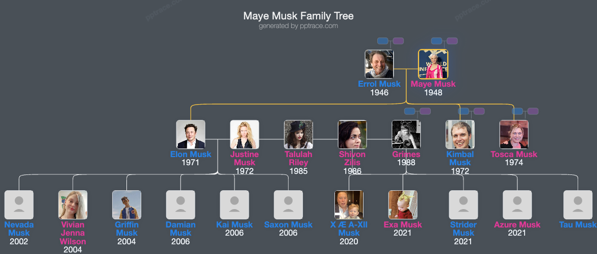 Maye Musk family tree overview