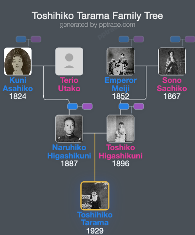 Toshihiko Tarama family tree overview