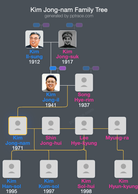 Kim Jong-nam family tree overview