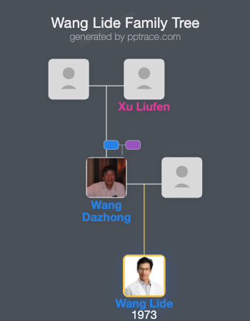Wang Lide family tree overview