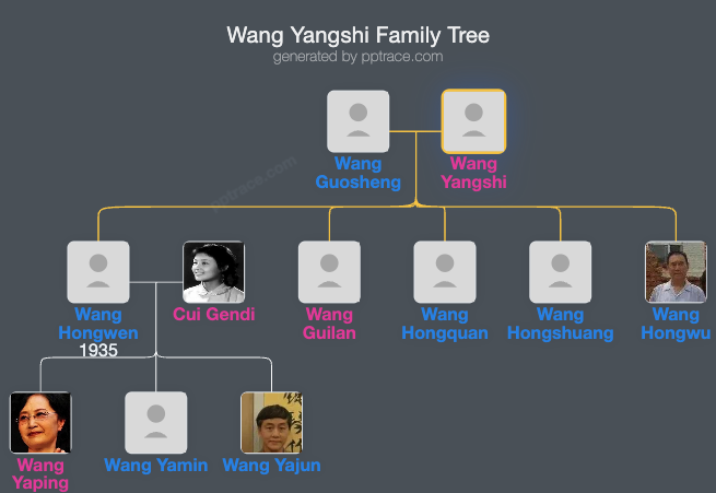 Wang Yangshi family tree overview