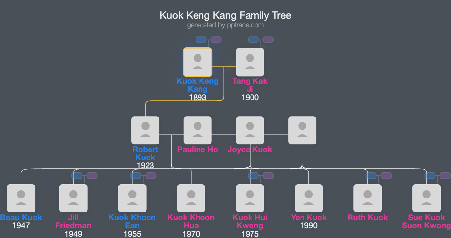 Kuok Keng Kang family tree overview