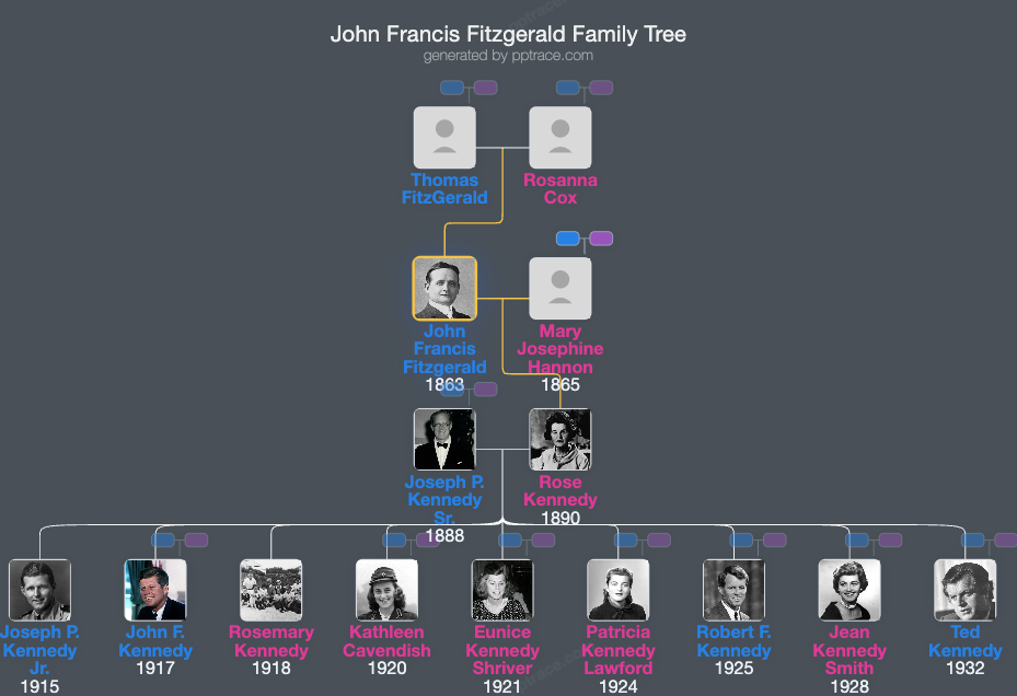 John Francis Fitzgerald family tree overview
