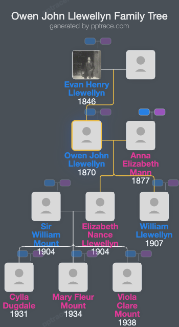 Owen John Llewellyn family tree overview