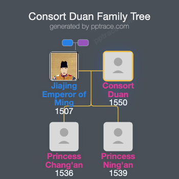 Consort Duan family tree overview