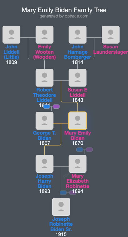 Mary Emily Biden family tree overview
