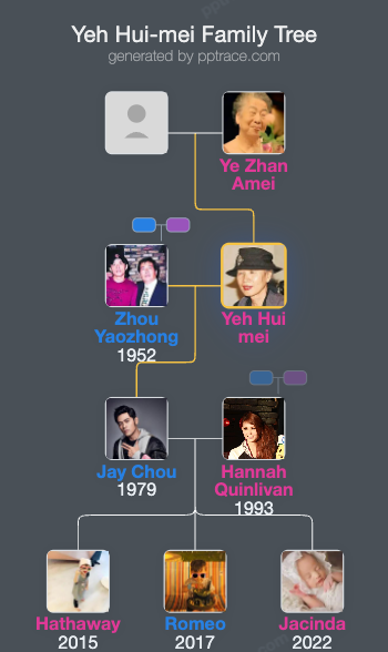 Yeh Hui-mei family tree overview
