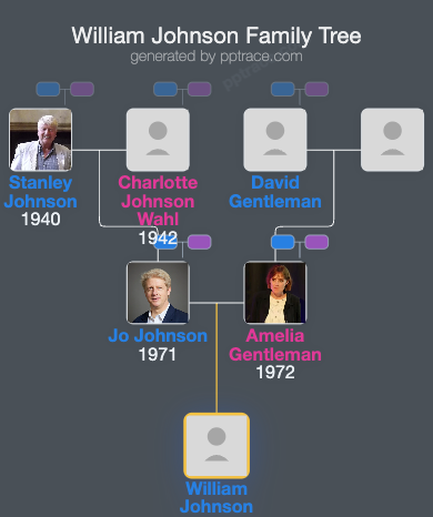 William Johnson family tree overview