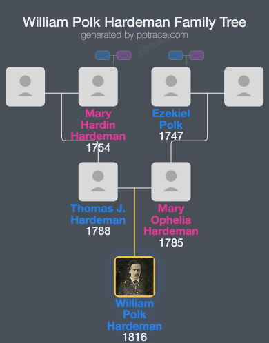 William Polk Hardeman family tree overview