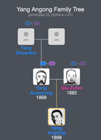 Yang Angong family tree overview