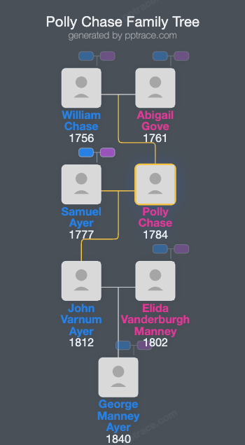 Polly Chase family tree overview