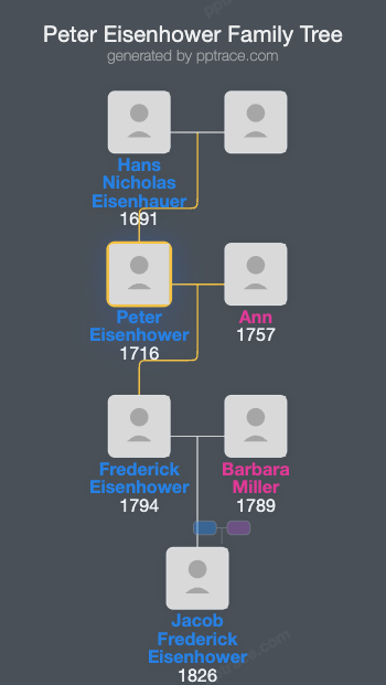 Peter Eisenhower family tree overview