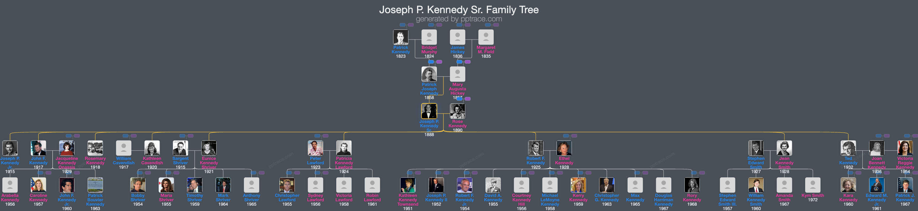 Joseph P. Kennedy Sr. family tree overview