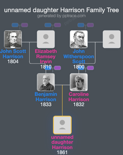 Unnamed Daughter Harrison family tree overview
