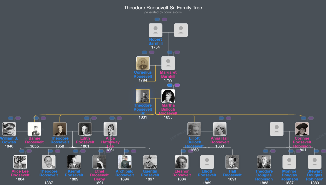 Theodore Roosevelt Sr. family tree overview