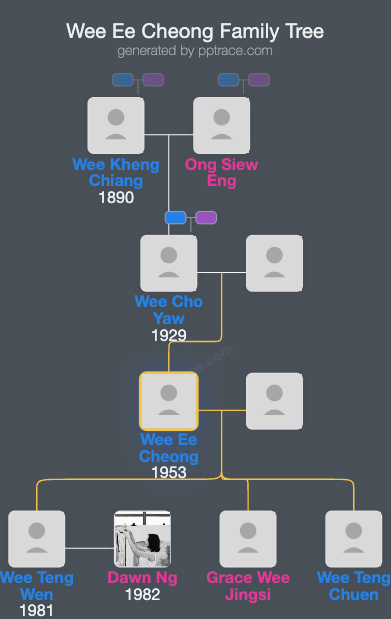 Wee Ee Cheong family tree overview