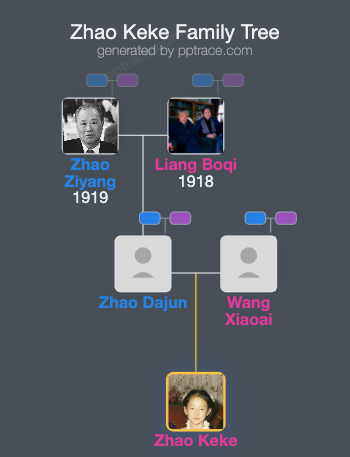 Zhao Keke family tree overview