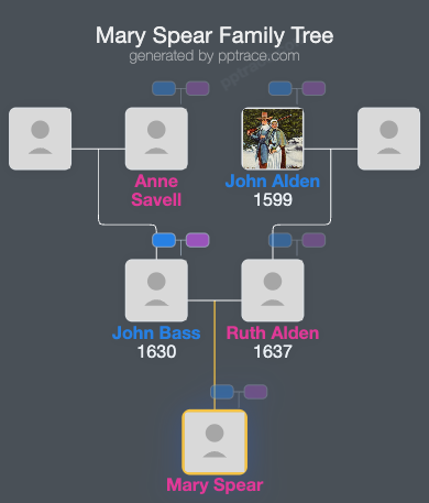 Mary Spear family tree overview
