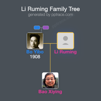 Li Ruming family tree overview