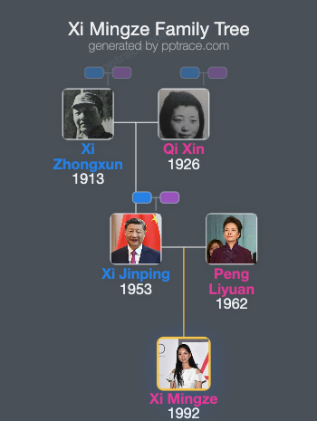 Xi Mingze family tree overview