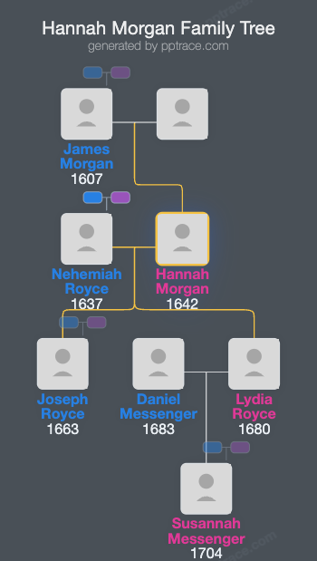 Hannah Morgan family tree overview