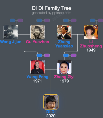 Di Di family tree overview