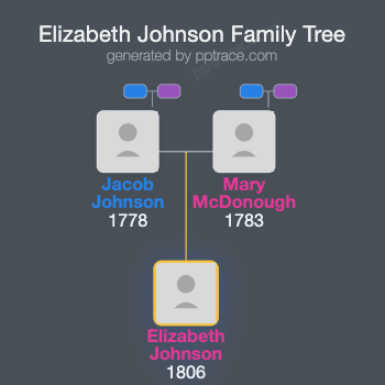 Elizabeth Johnson family tree overview