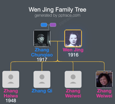 Wen Jing family tree overview