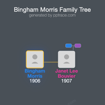 Bingham Morris family tree overview