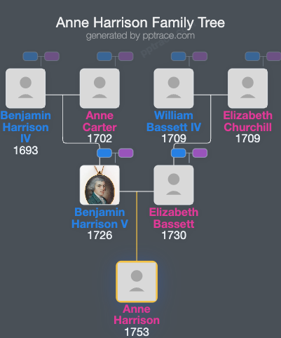 Anne Harrison family tree overview