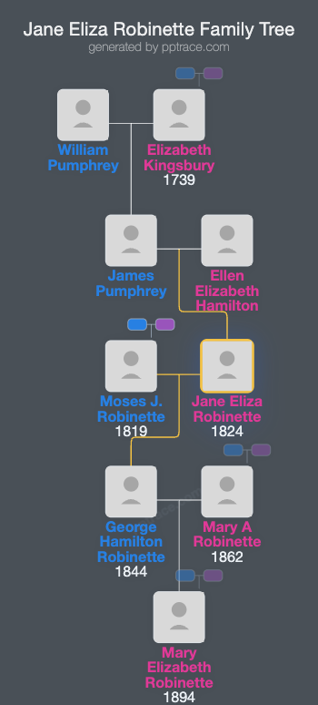 Jane Eliza Robinette family tree overview