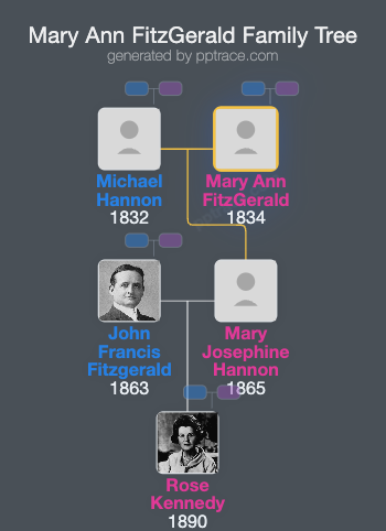 Mary Ann FitzGerald family tree overview