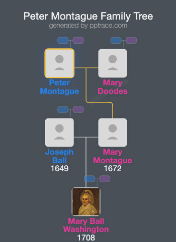 Peter Montague family tree overview