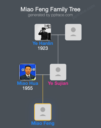Miao Feng family tree overview