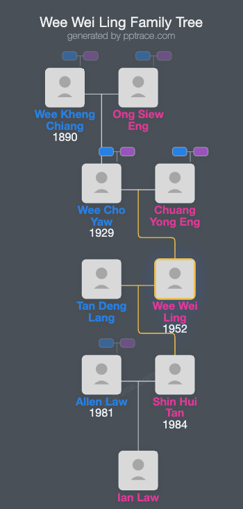Wee Wei Ling family tree overview