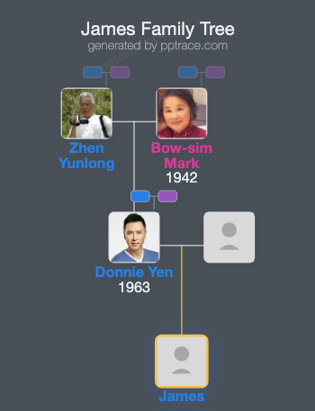 James family tree overview