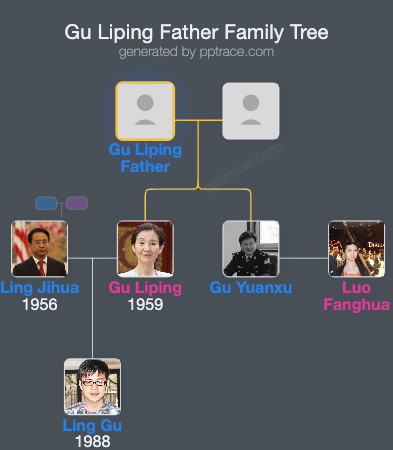 Gu Liping Father family tree overview
