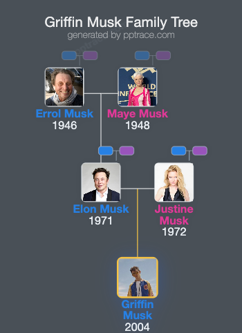 Griffin Musk family tree overview