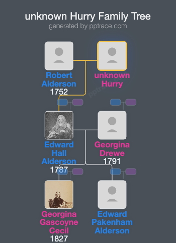 Unknown Hurry family tree overview