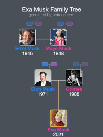 Exa Musk family tree overview