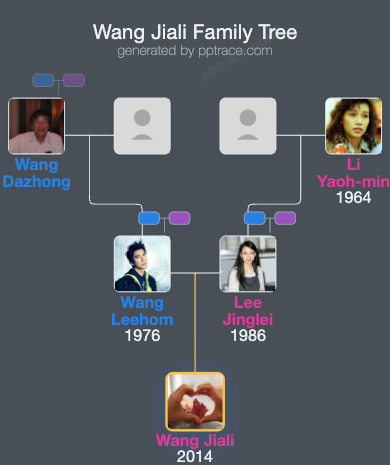 Wang Jiali family tree overview