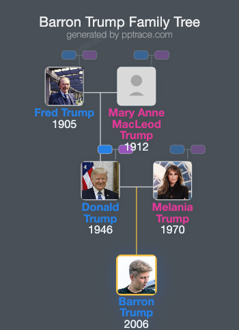 Barron Trump family tree overview