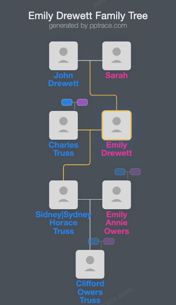 Emily Drewett family tree overview