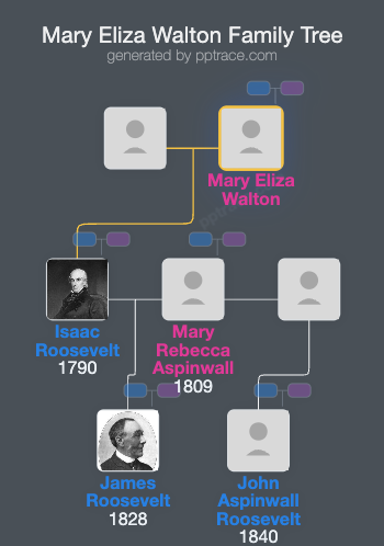 Mary Eliza Walton family tree overview