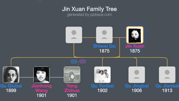 Jin Xuan family tree overview