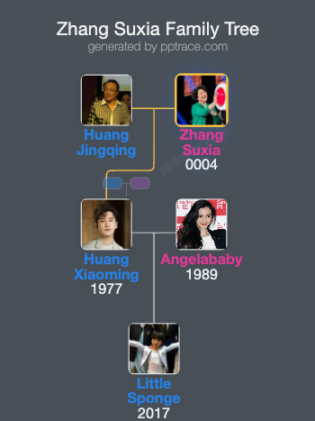 Zhang Suxia family tree overview