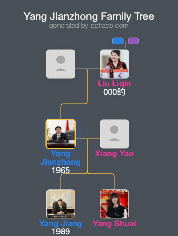 Yang Jianzhong family tree overview