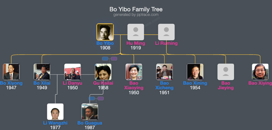 Bo Yibo family tree overview