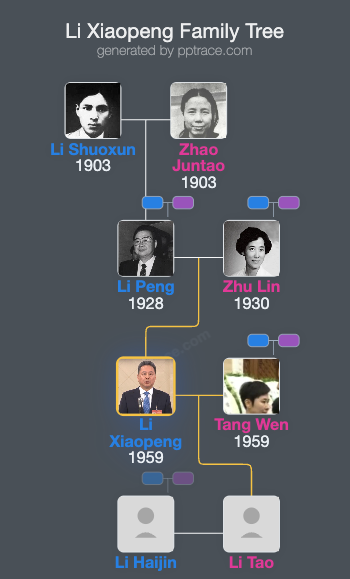 Li Xiaopeng family tree overview