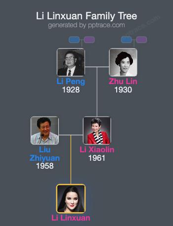 Li Linxuan family tree overview